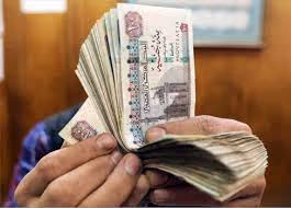 خسائر الهيئات الحكومية المصرية تزيد من الدين الخارجي